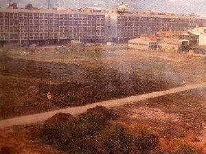 民國70年徵收的永福校地，另開新視窗